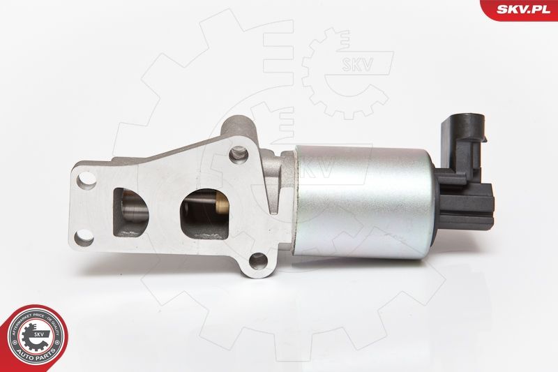 ESEN SKV 14SKV065 EGR Valve