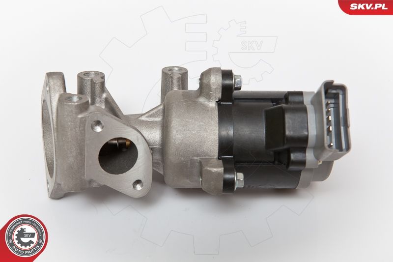 ESEN SKV 14SKV066 EGR Valve