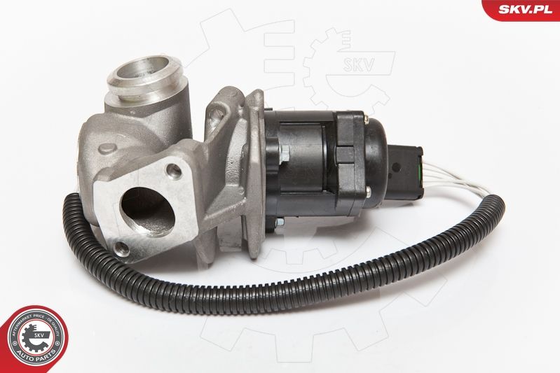 ESEN SKV 14SKV067 EGR Valve