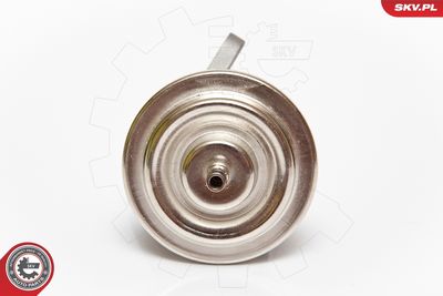 EGR Valve ESEN SKV 14SKV068