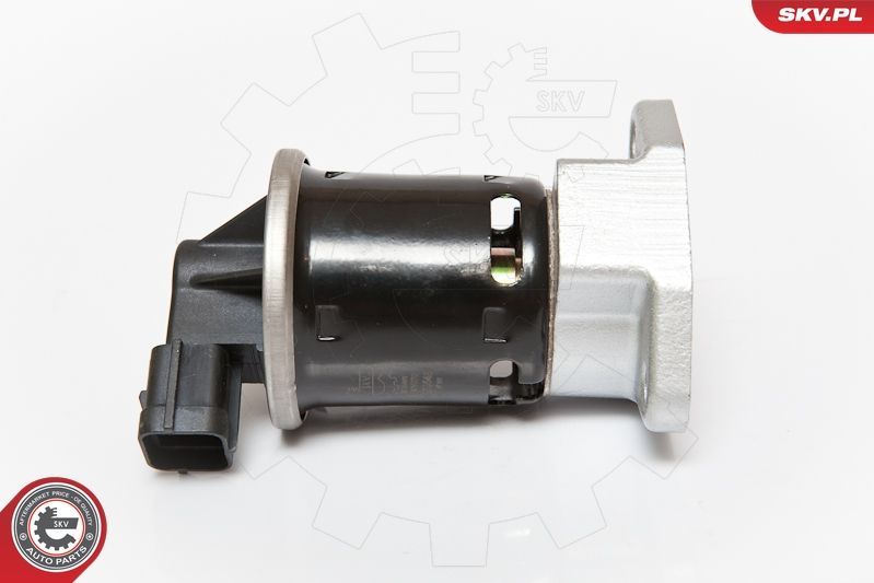 ESEN SKV 14SKV070 EGR Valve