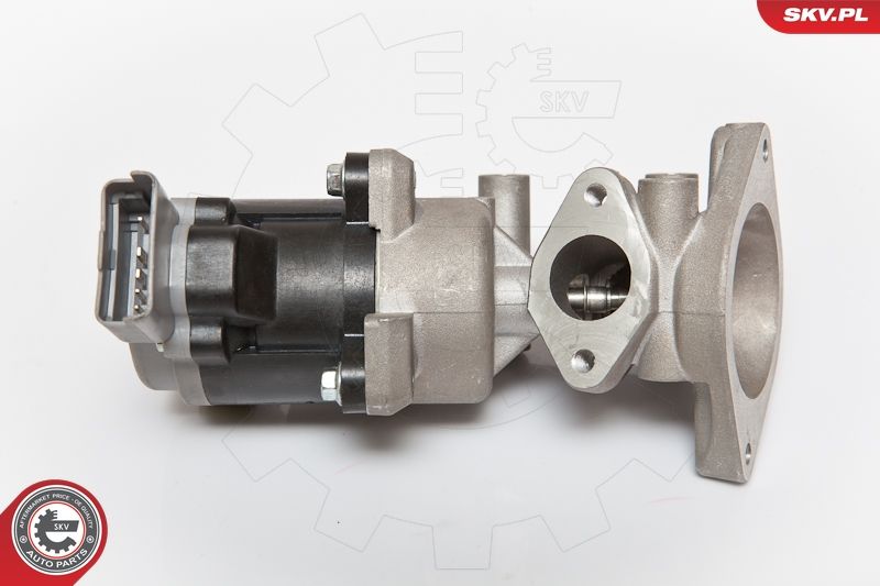 ESEN SKV 14SKV072 EGR Valve