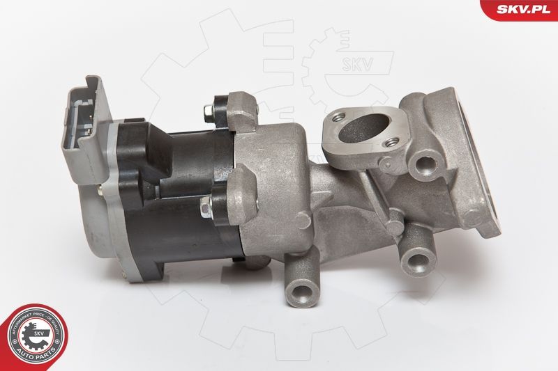 ESEN SKV 14SKV073 EGR Valve