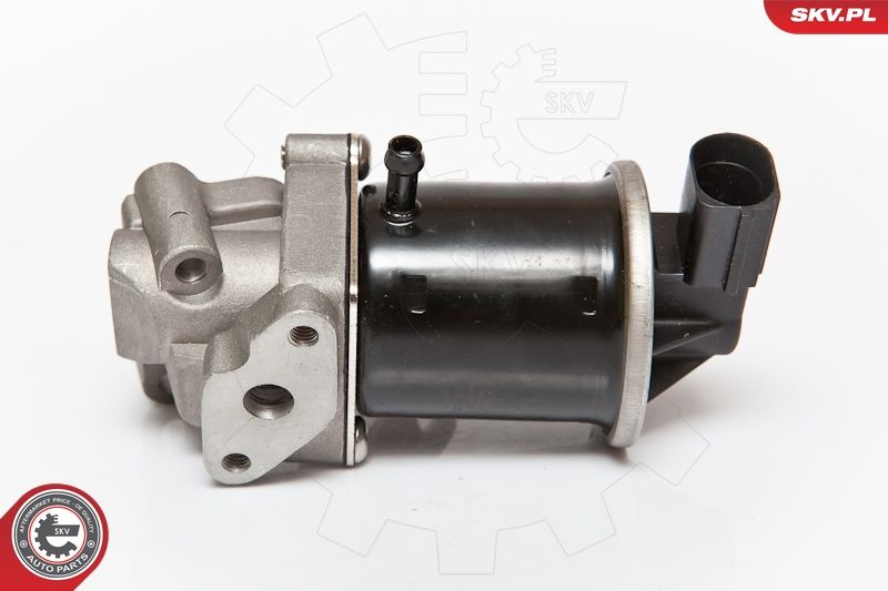 ESEN SKV 14SKV074 EGR Valve