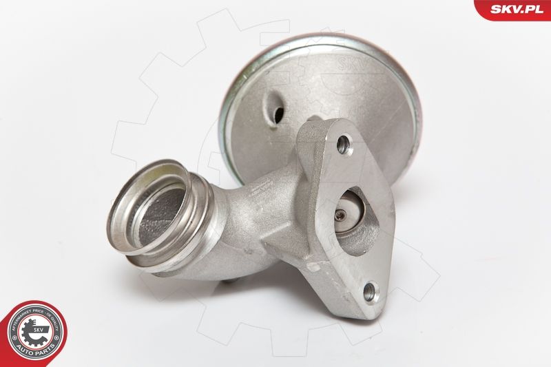 ESEN SKV 14SKV075 EGR Valve