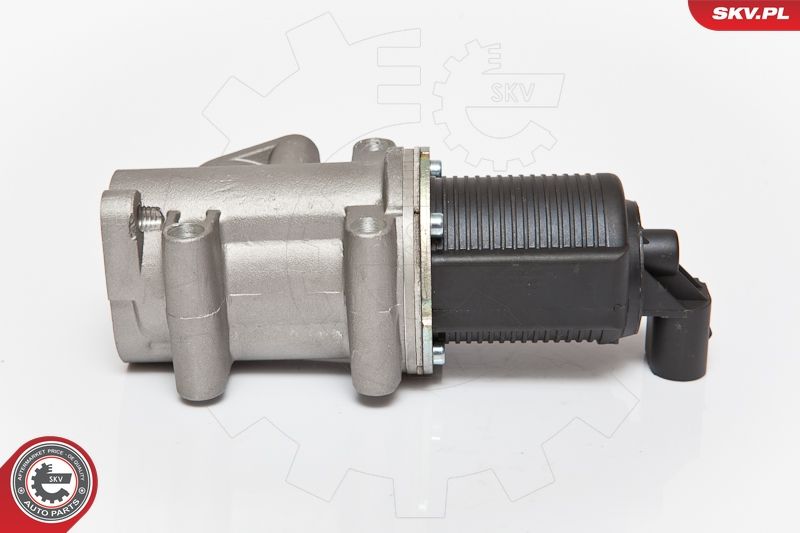 ESEN SKV 14SKV076 EGR Valve