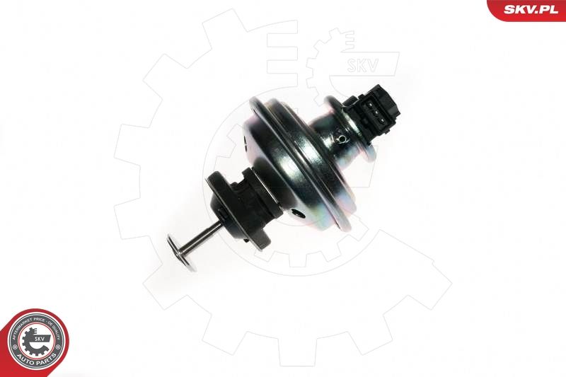 ESEN SKV 14SKV078 EGR Valve