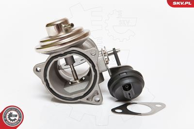 EGR Valve ESEN SKV 14SKV081