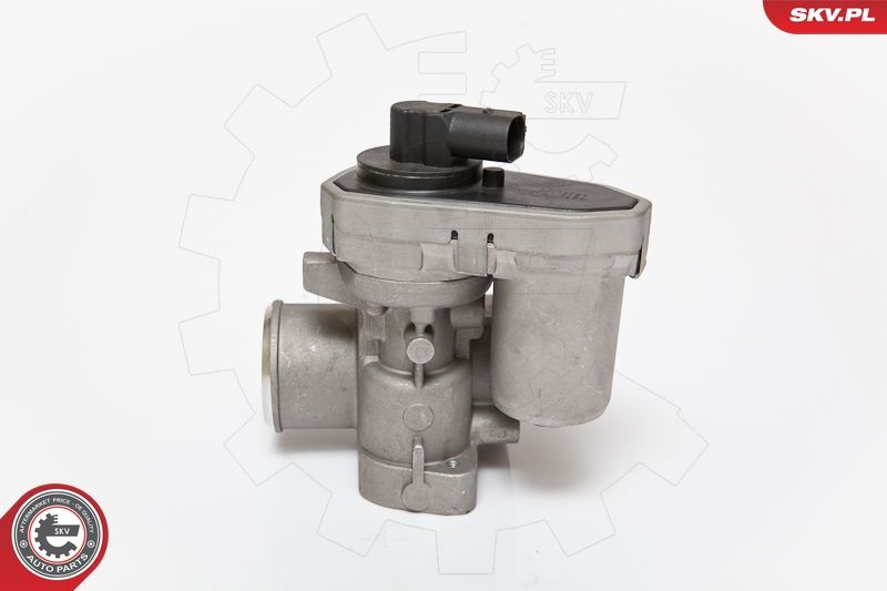 ESEN SKV 14SKV084 EGR Valve