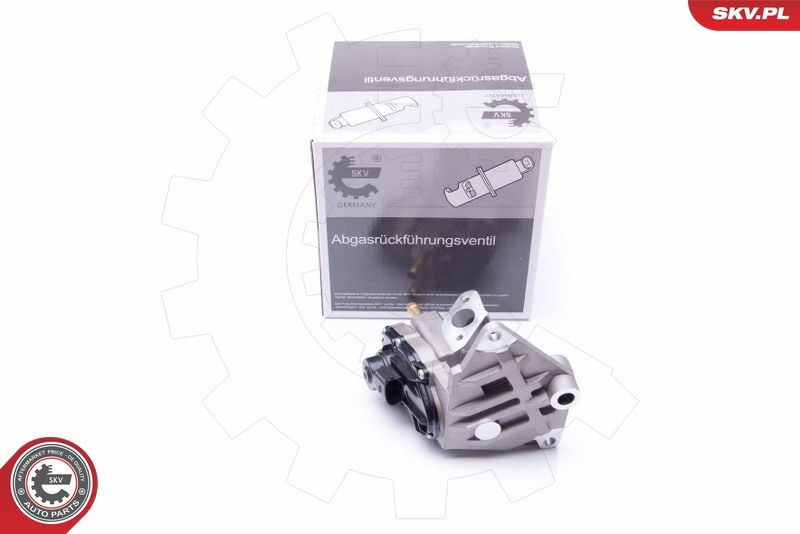 ESEN SKV 14SKV087 EGR Valve