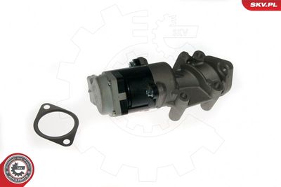 EGR Valve ESEN SKV 14SKV089