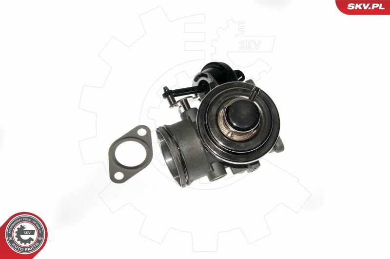 ESEN SKV 14SKV090 EGR Valve