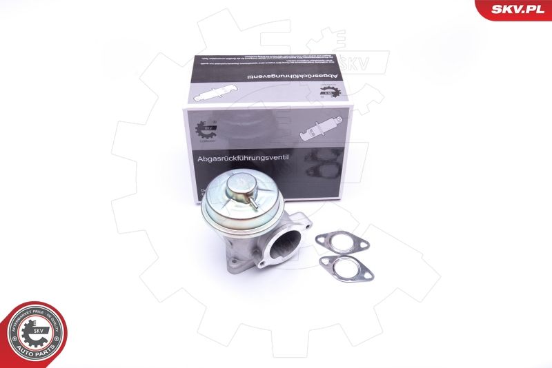 ESEN SKV 14SKV092 EGR Valve