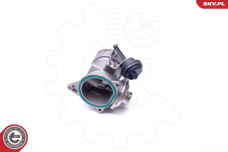 ESEN SKV 14SKV093 EGR Valve