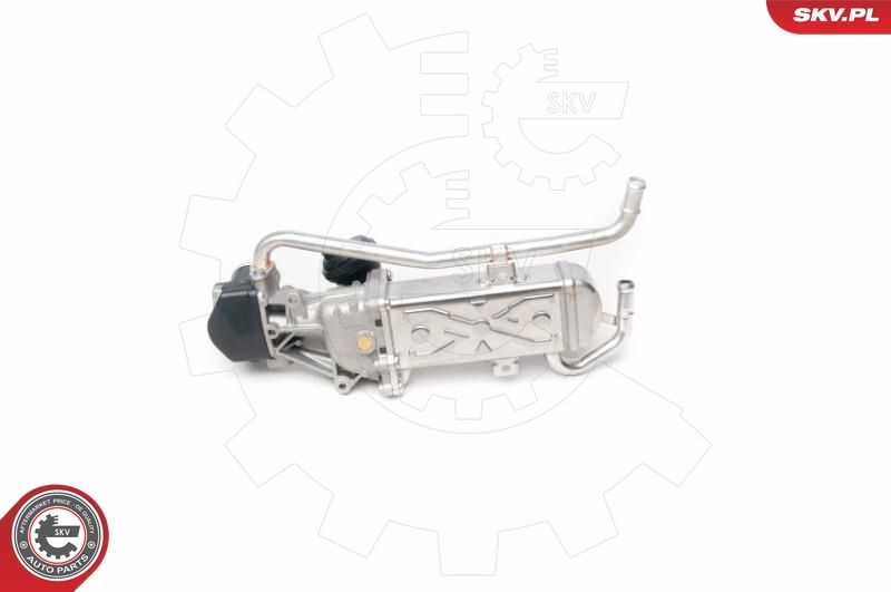 ESEN SKV 14SKV095 EGR Valve