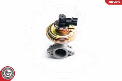 EGR Valve ESEN SKV 14SKV097