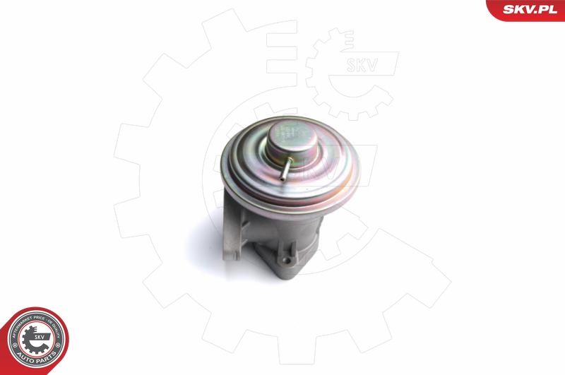 ESEN SKV 14SKV098 EGR Valve