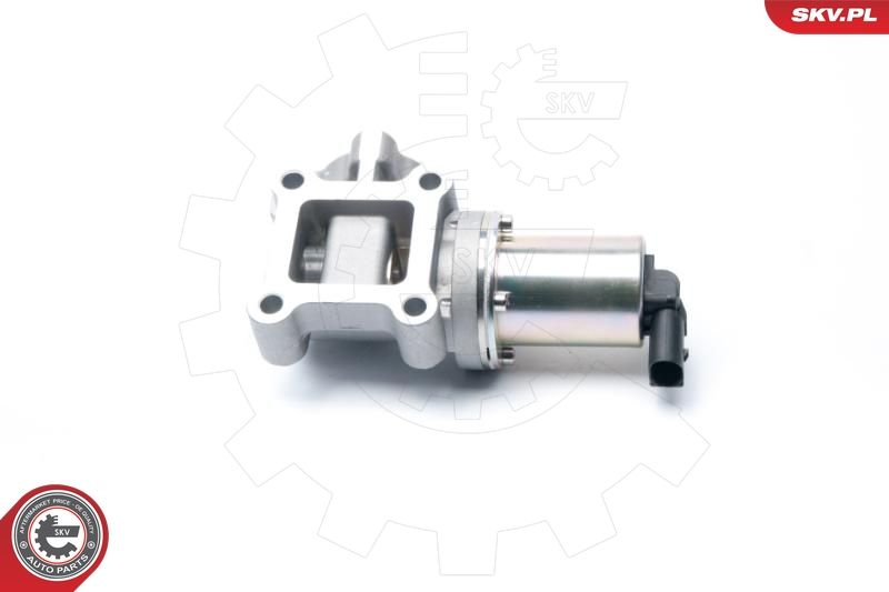 ESEN SKV 14SKV099 EGR Valve