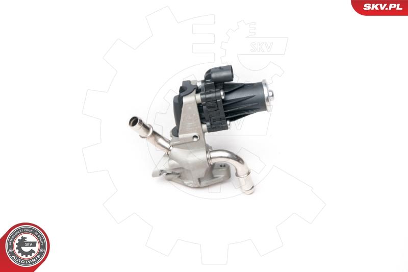 ESEN SKV 14SKV101 EGR Valve