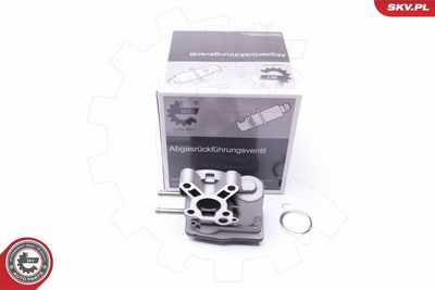 EGR Valve ESEN SKV 14SKV103