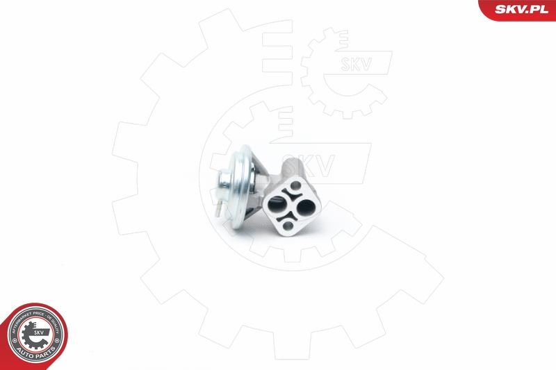 ESEN SKV 14SKV104 EGR Valve