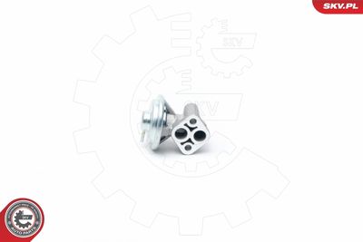 EGR Valve ESEN SKV 14SKV104