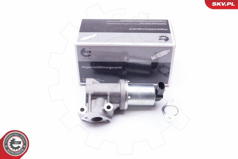ESEN SKV 14SKV105 EGR Valve