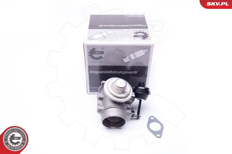 ESEN SKV 14SKV106 EGR Valve