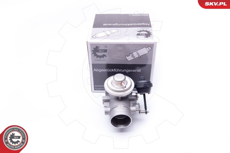 ESEN SKV 14SKV107 EGR Valve