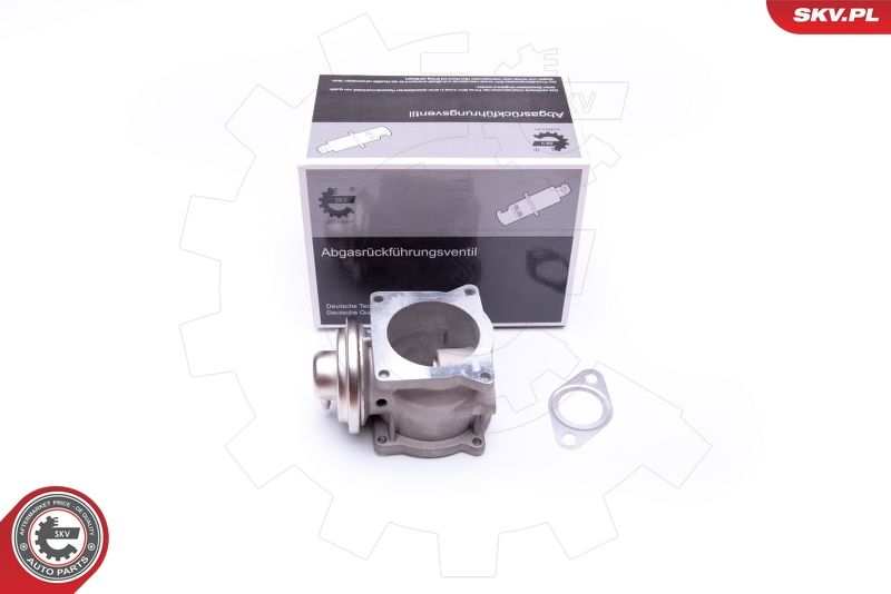 ESEN SKV 14SKV108 EGR Valve