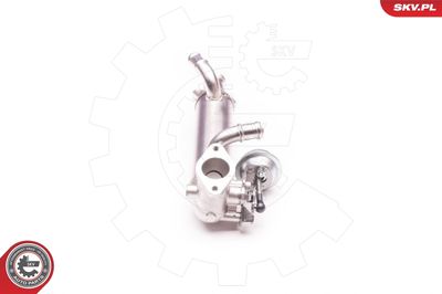 EGR Valve ESEN SKV 14SKV119