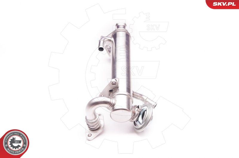 ESEN SKV 14SKV122 EGR Valve