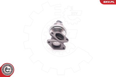 EGR Valve ESEN SKV 14SKV129