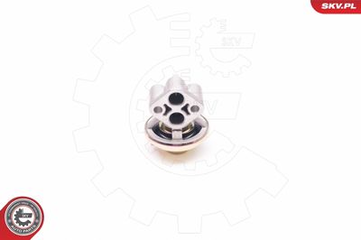 EGR Valve ESEN SKV 14SKV130