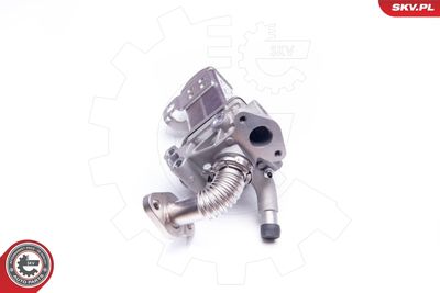 EGR Valve ESEN SKV 14SKV135