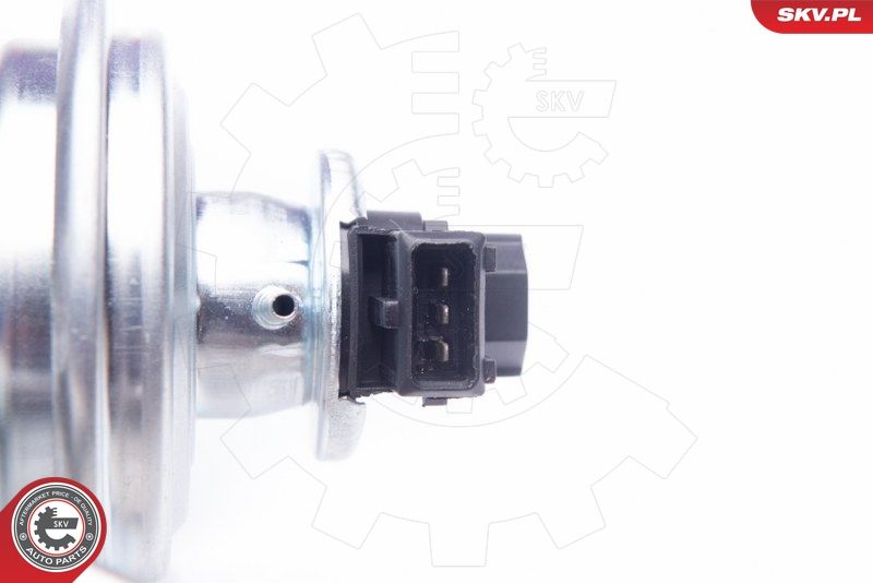 ESEN SKV 14SKV136 EGR Valve