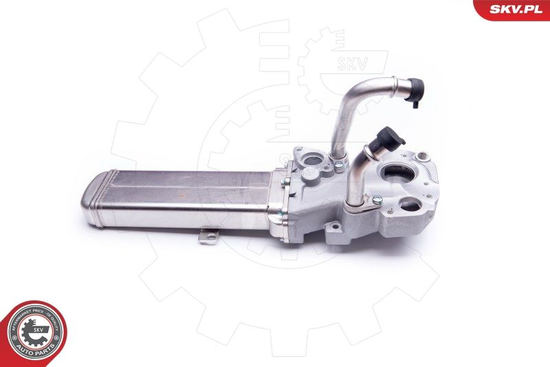 ESEN SKV 14SKV137 EGR Valve