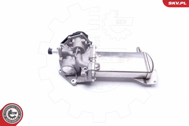 ESEN SKV 14SKV151 EGR Valve