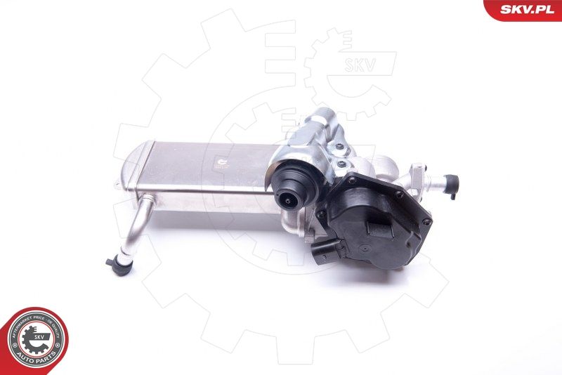 ESEN SKV 14SKV152 EGR Valve