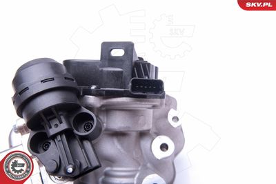 EGR Valve ESEN SKV 14SKV157