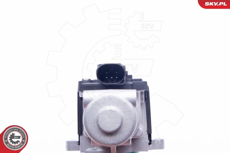 ESEN SKV 14SKV164 EGR Valve