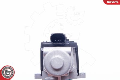 EGR Valve ESEN SKV 14SKV164