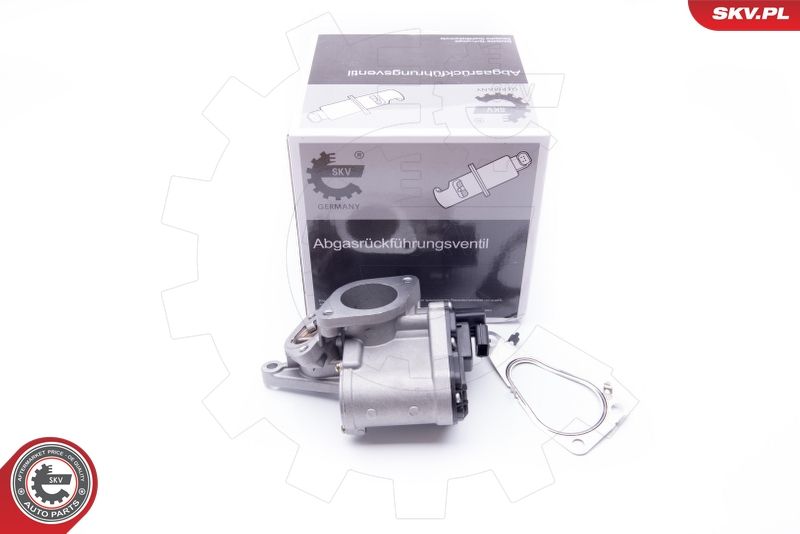 ESEN SKV 14SKV165 EGR Valve