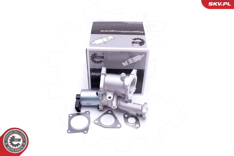 ESEN SKV 14SKV166 EGR Valve