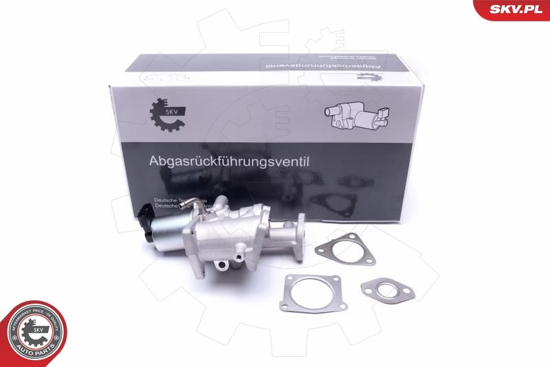 ESEN SKV 14SKV167 EGR Valve