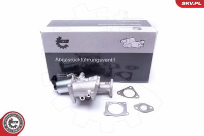 EGR Valve ESEN SKV 14SKV167