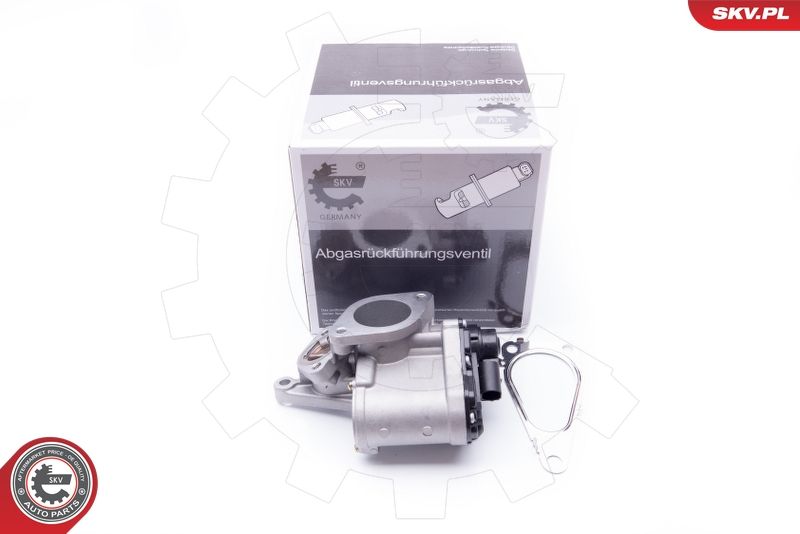 ESEN SKV 14SKV168 EGR Valve
