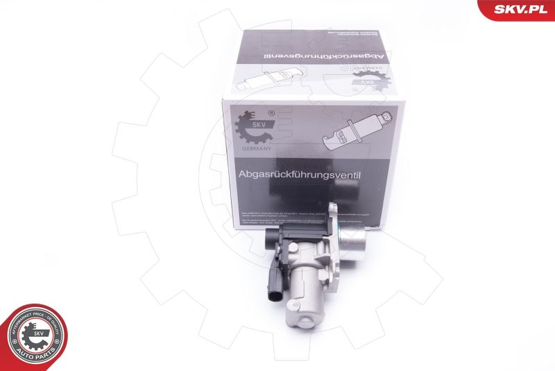 ESEN SKV 14SKV170 EGR Valve