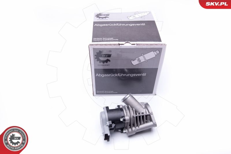 ESEN SKV 14SKV173 EGR Valve