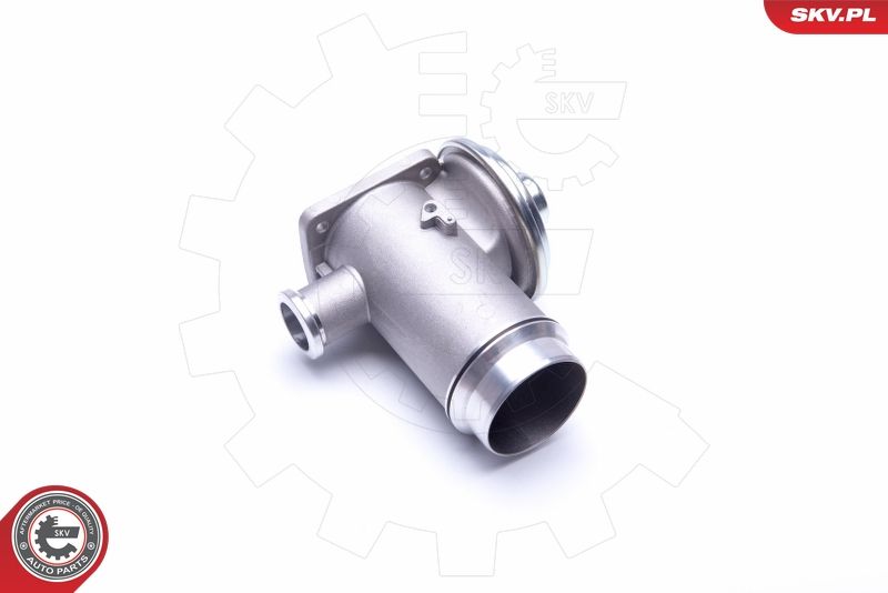 ESEN SKV 14SKV175 EGR Valve